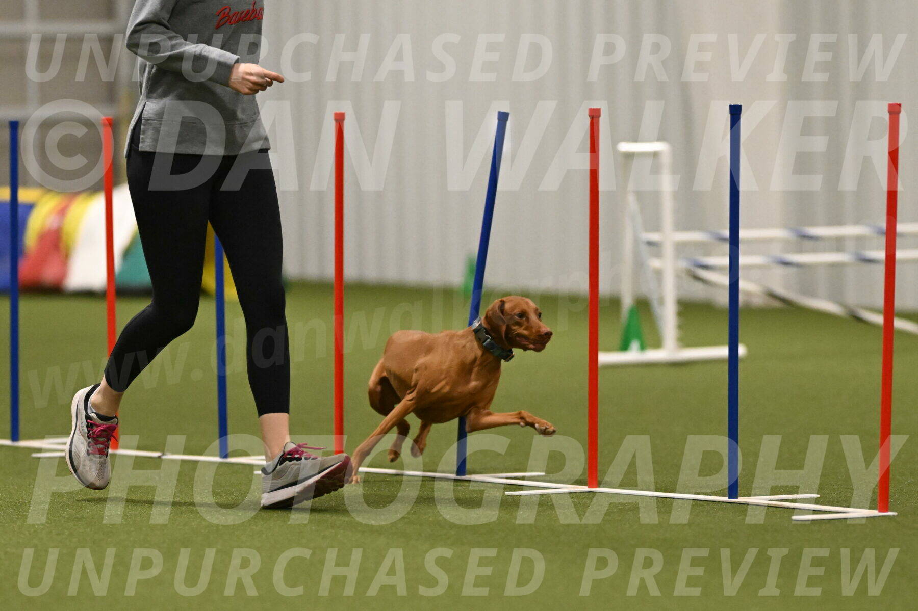 Indie-Jean-Bonness-02775