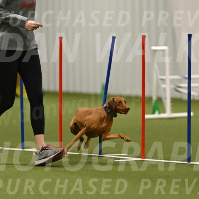 Indie-Jean-Bonness-02775