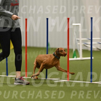 Indie-Jean-Bonness-02776