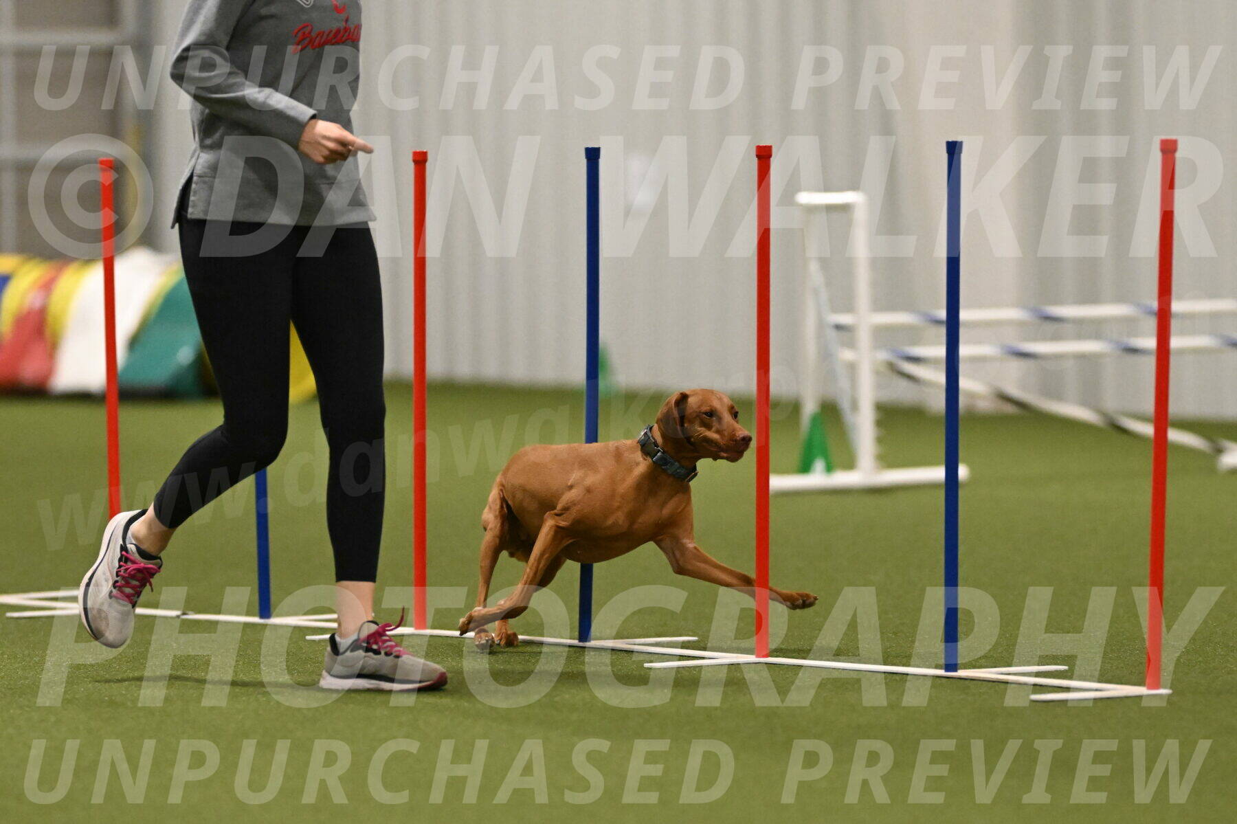 Indie-Jean-Bonness-02776