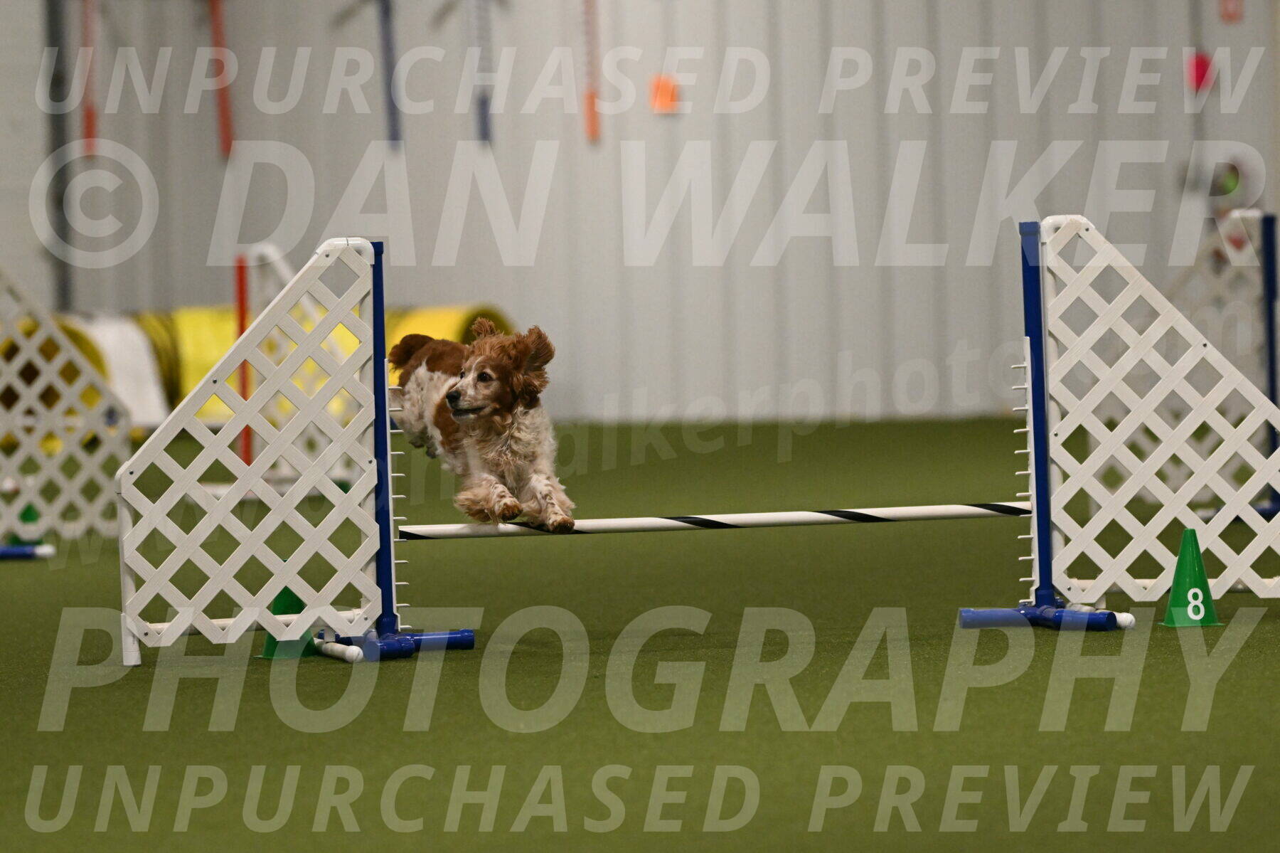Izzy-Kathy-Barickman-09015