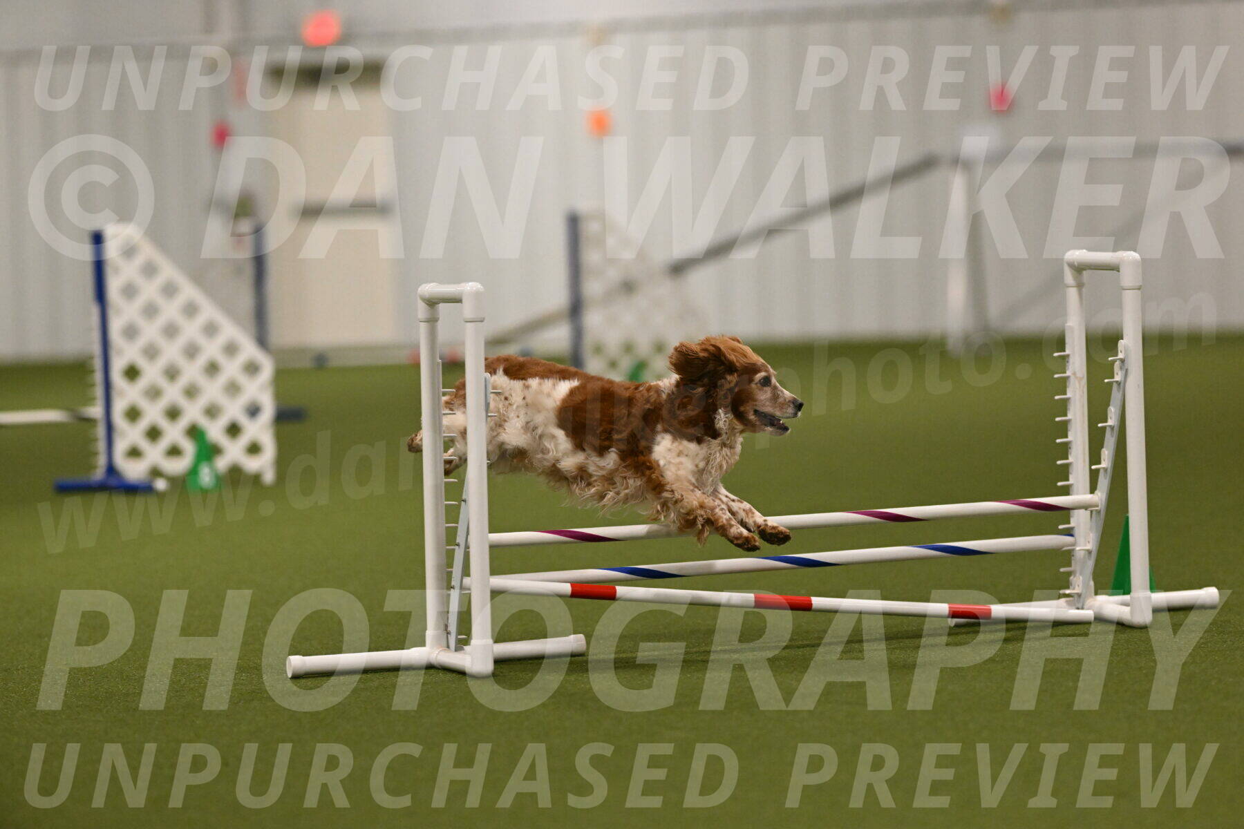 Izzy-Kathy-Barickman-09017