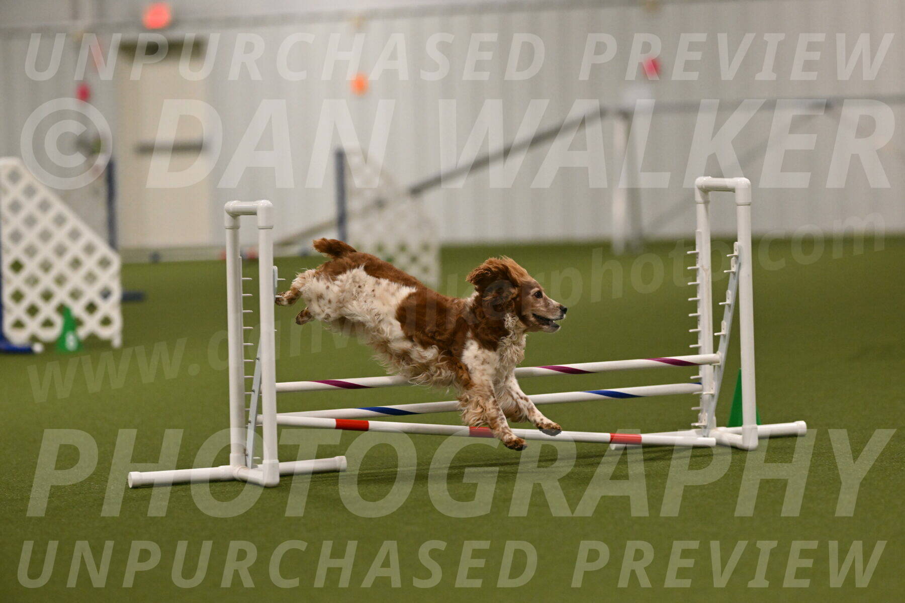 Izzy-Kathy-Barickman-09018