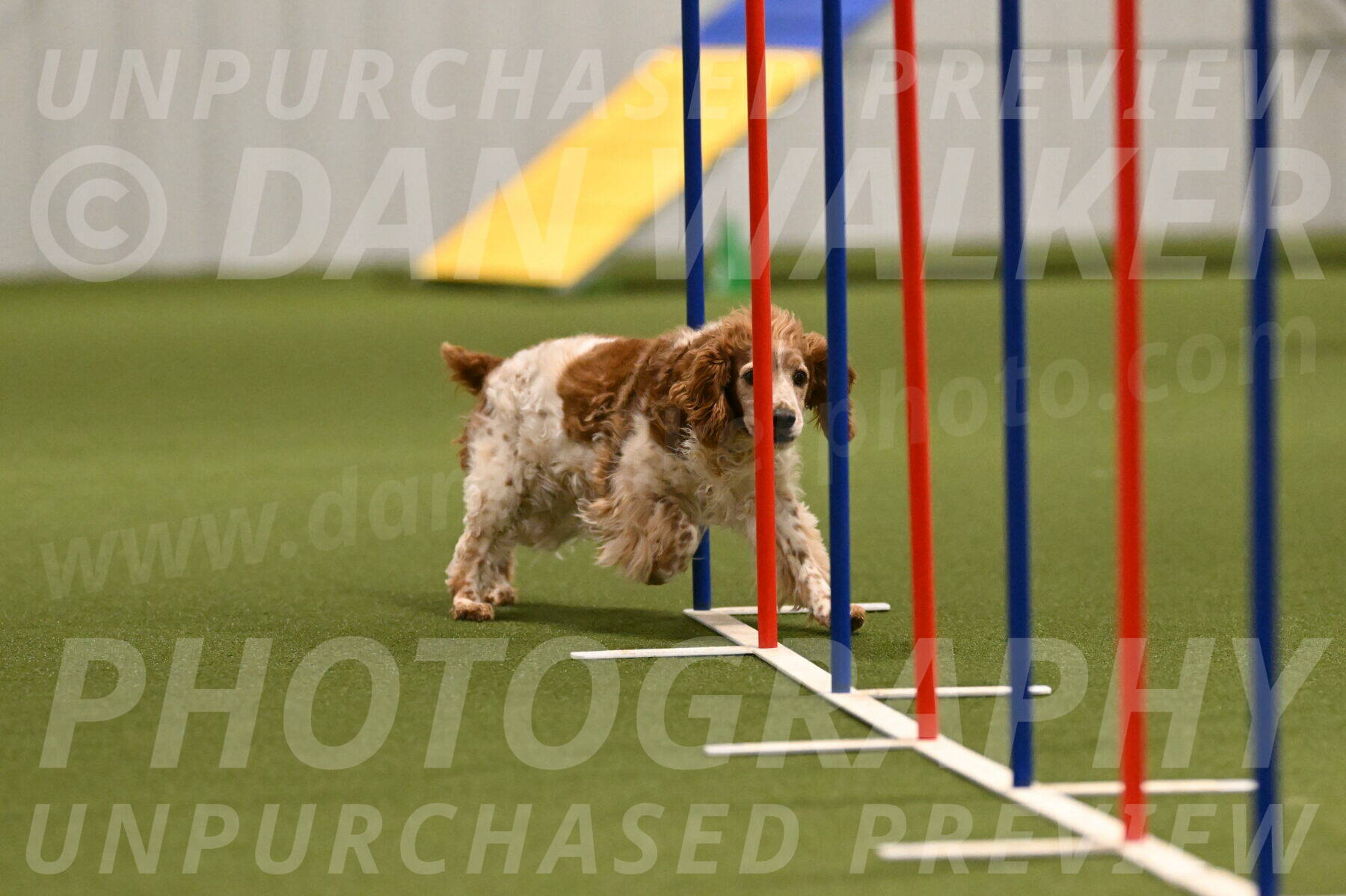 Izzy-Kathy-Barickman-09019