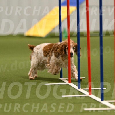 Izzy-Kathy-Barickman-09019
