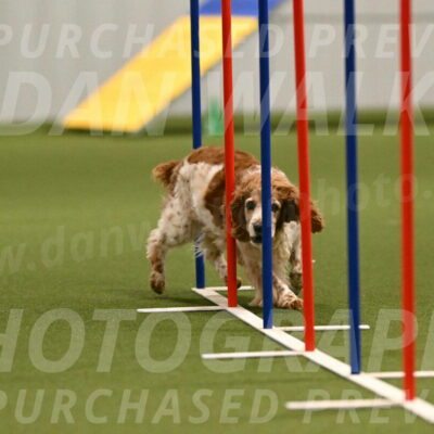 Izzy-Kathy-Barickman-09020
