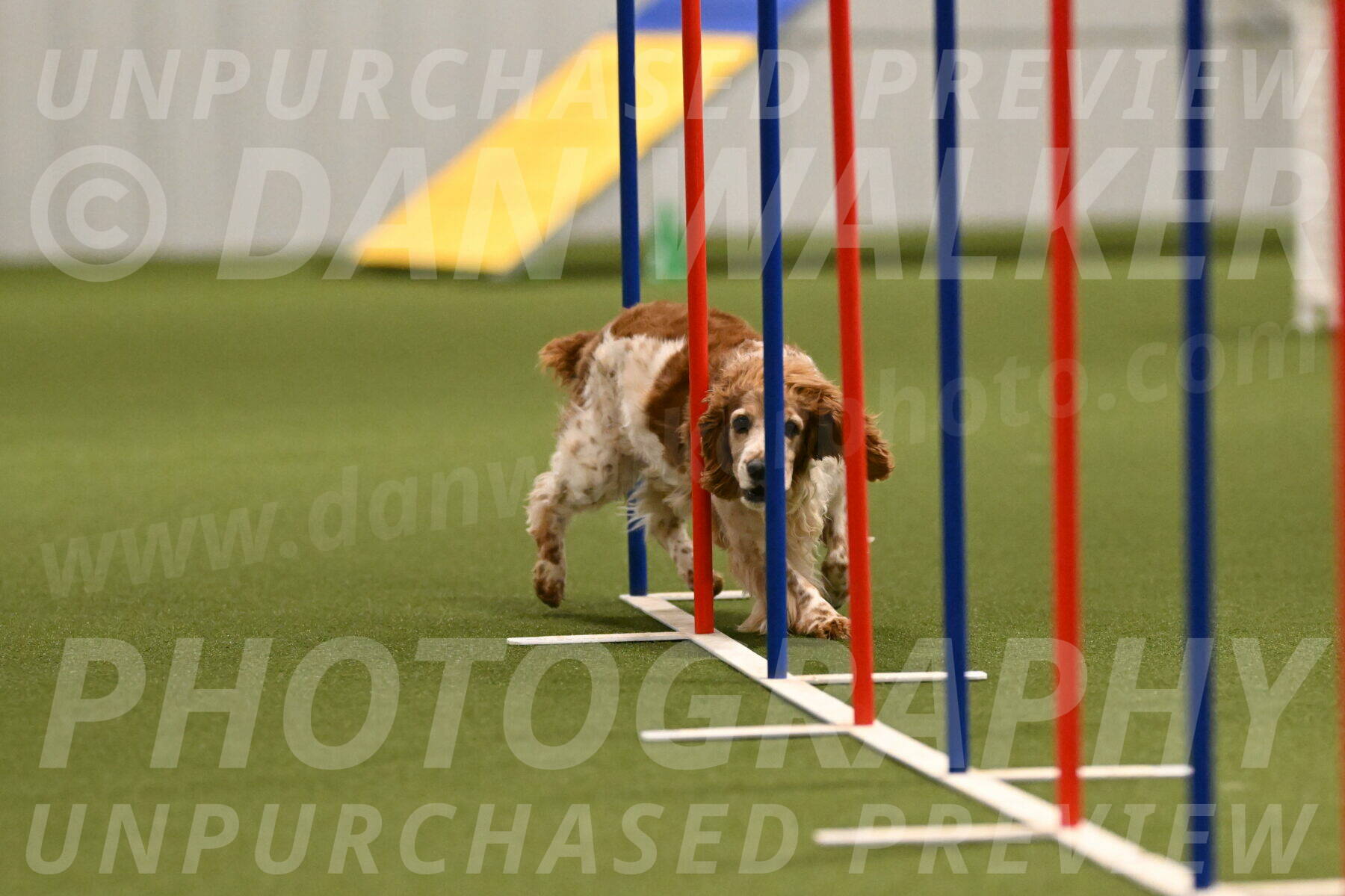 Izzy-Kathy-Barickman-09020