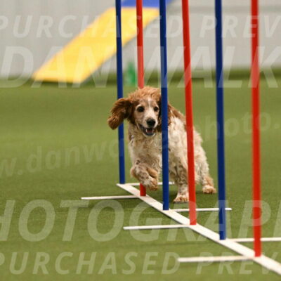 Izzy-Kathy-Barickman-09021