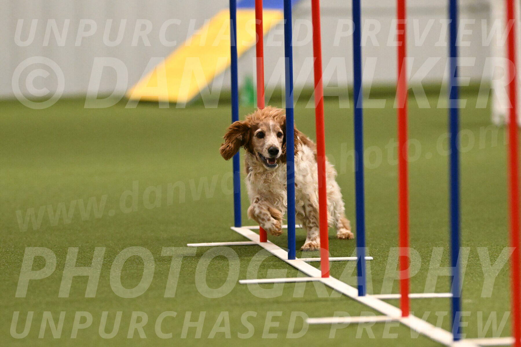 Izzy-Kathy-Barickman-09021