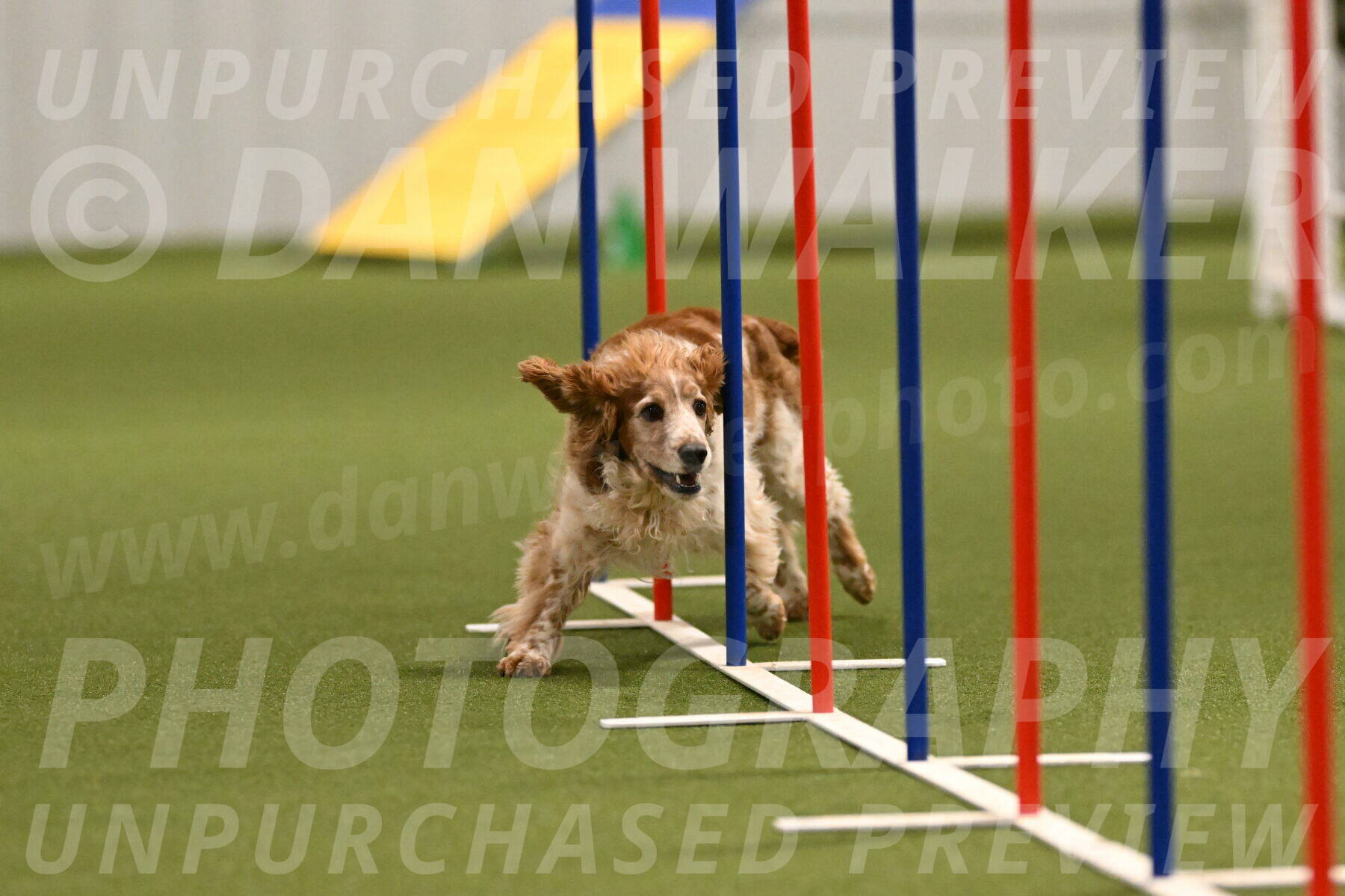 Izzy-Kathy-Barickman-09022