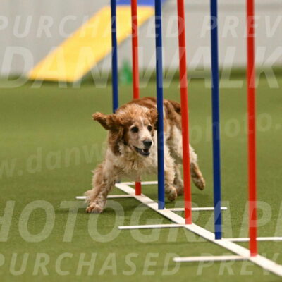 Izzy-Kathy-Barickman-09022