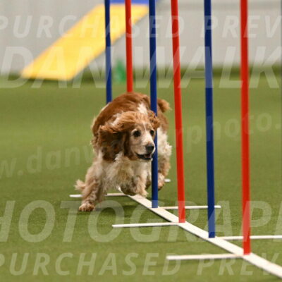 Izzy-Kathy-Barickman-09023