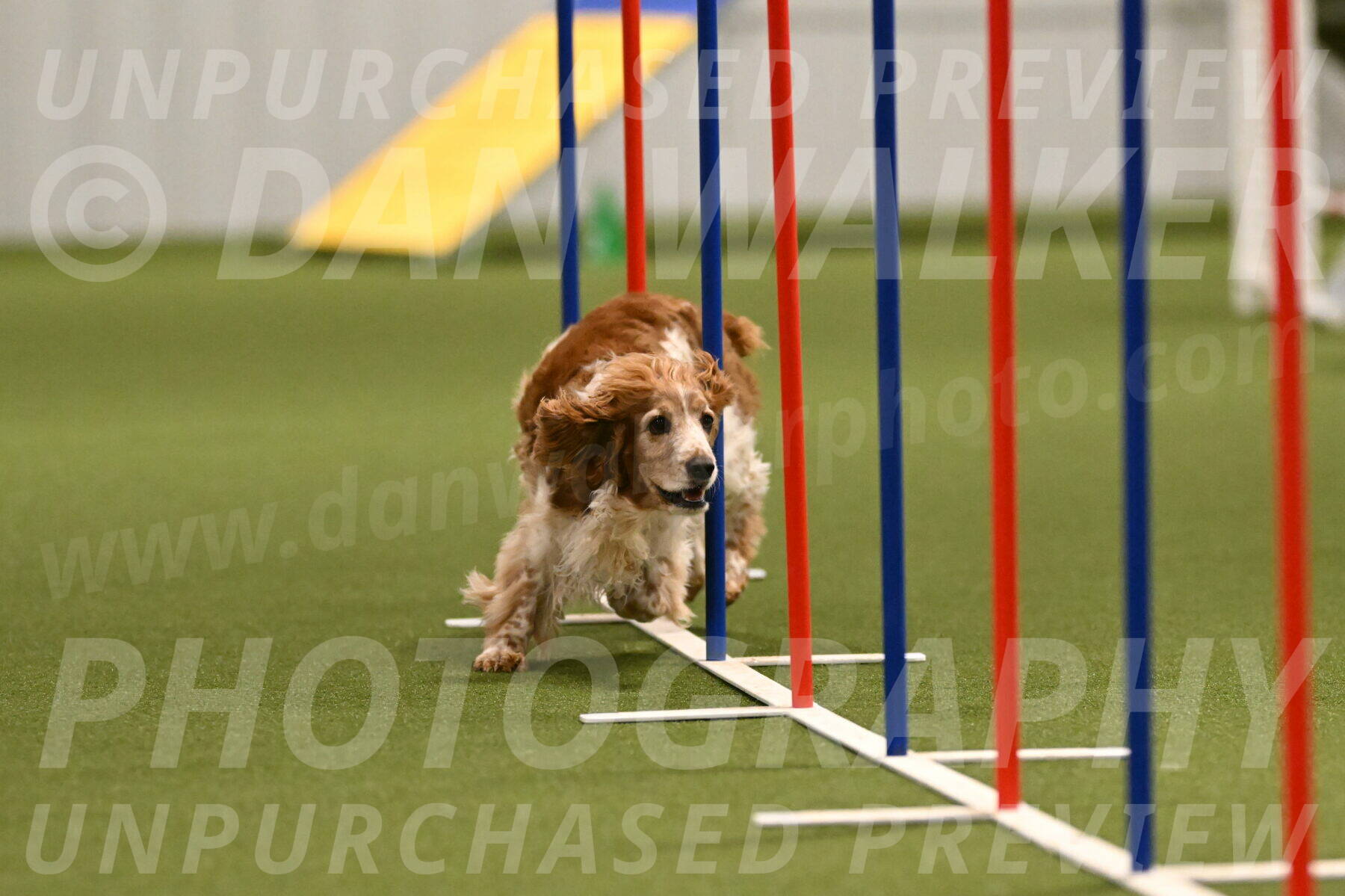 Izzy-Kathy-Barickman-09023