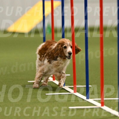 Izzy-Kathy-Barickman-09024