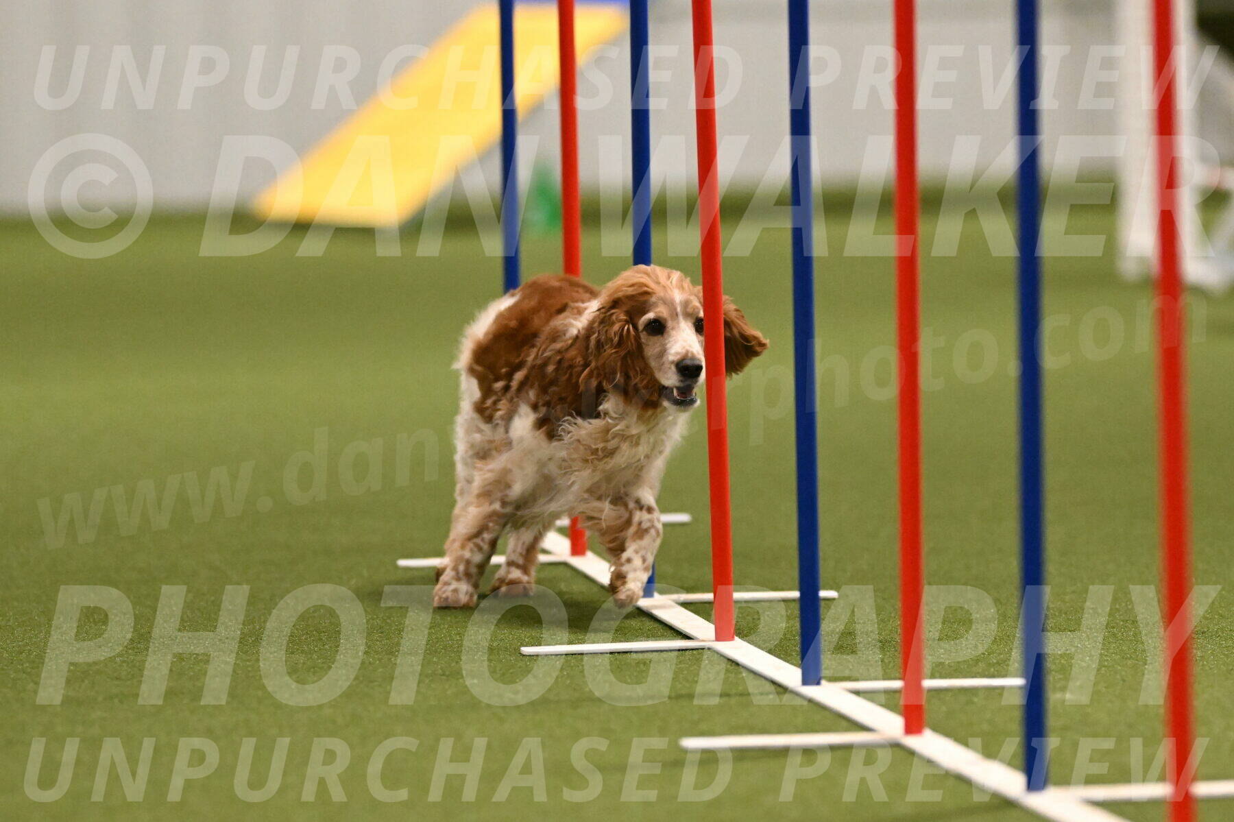 Izzy-Kathy-Barickman-09024
