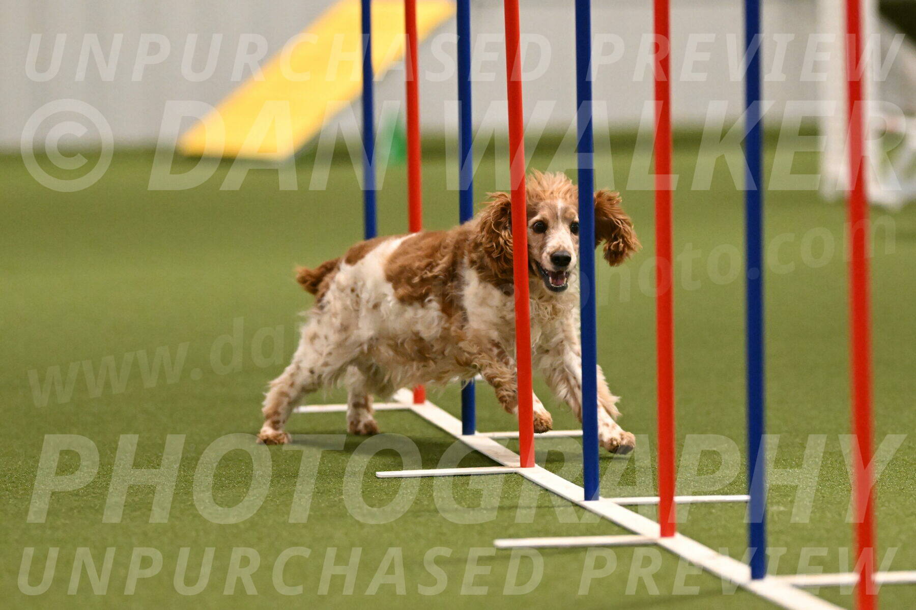 Izzy-Kathy-Barickman-09026
