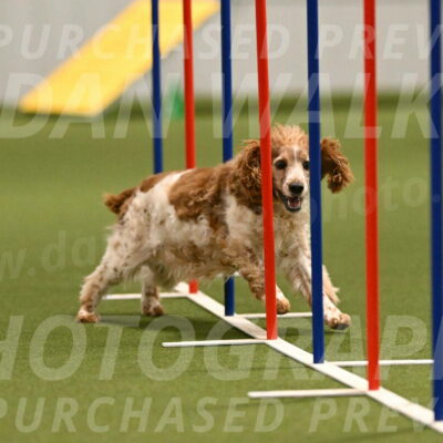 Izzy-Kathy-Barickman-09026
