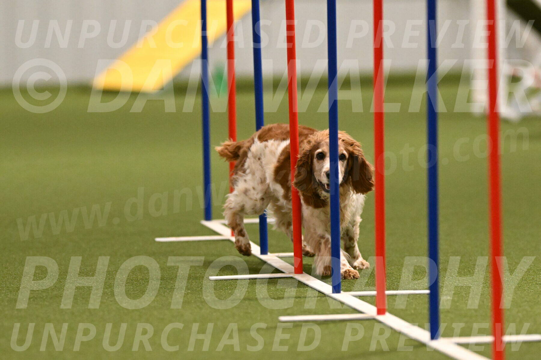 Izzy-Kathy-Barickman-09028