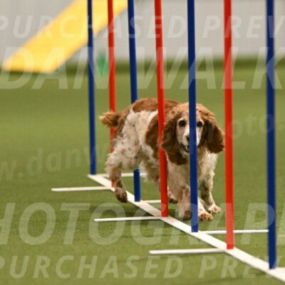 Izzy-Kathy-Barickman-09028