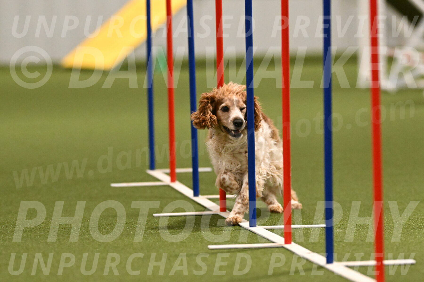 Izzy-Kathy-Barickman-09029
