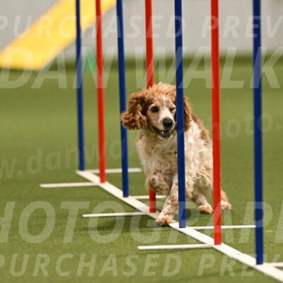 Izzy-Kathy-Barickman-09029
