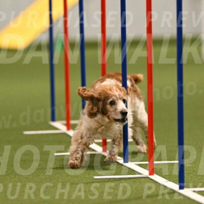 Izzy-Kathy-Barickman-09030