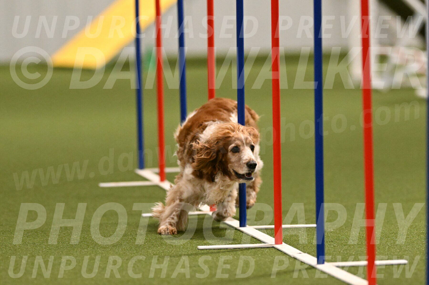 Izzy-Kathy-Barickman-09031