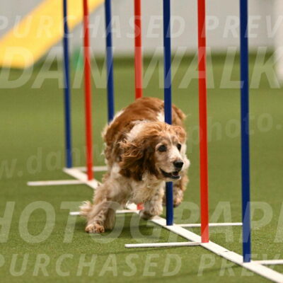Izzy-Kathy-Barickman-09031