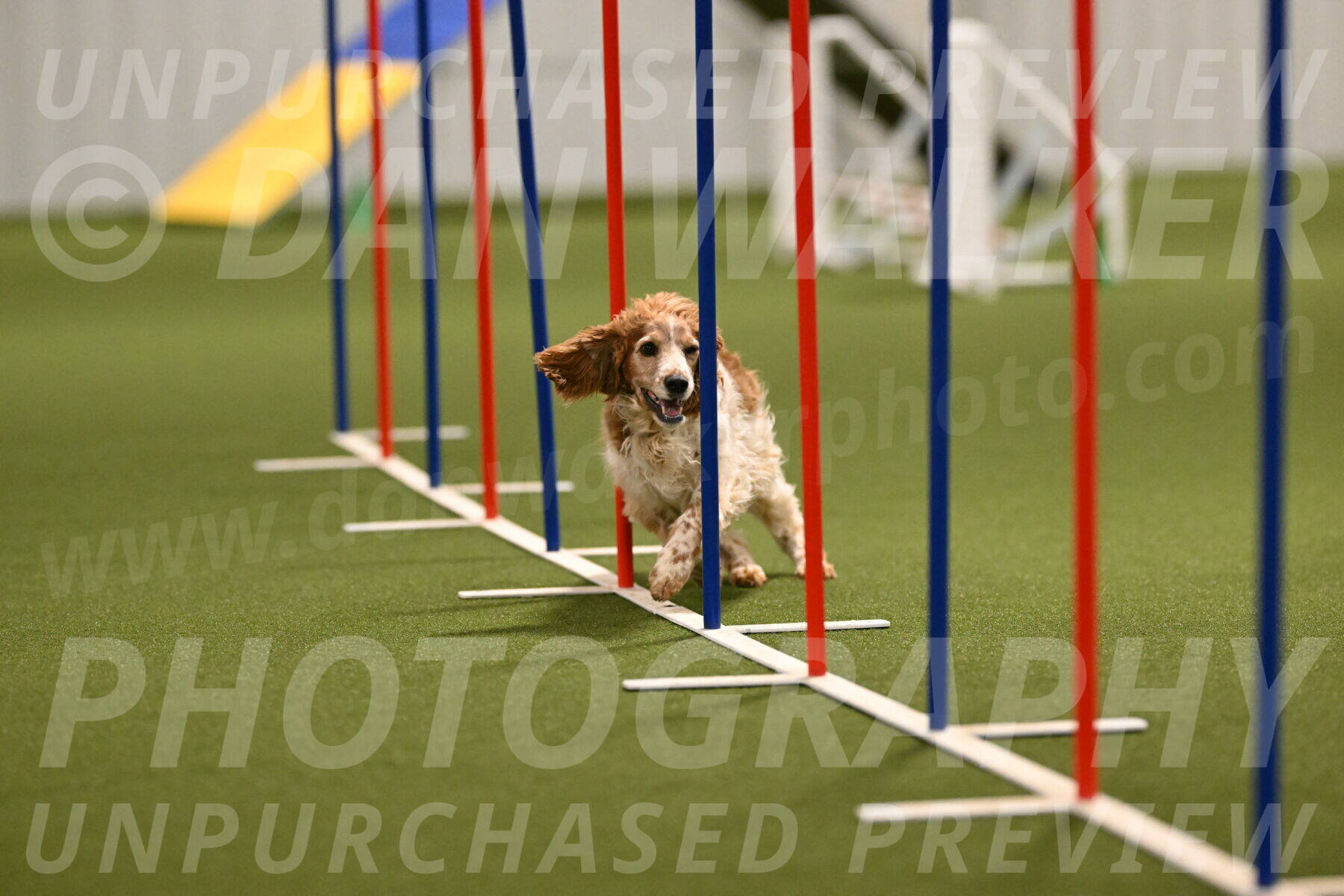 Izzy-Kathy-Barickman-09032