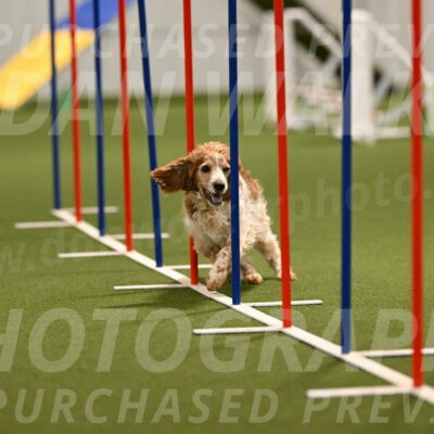 Izzy-Kathy-Barickman-09032