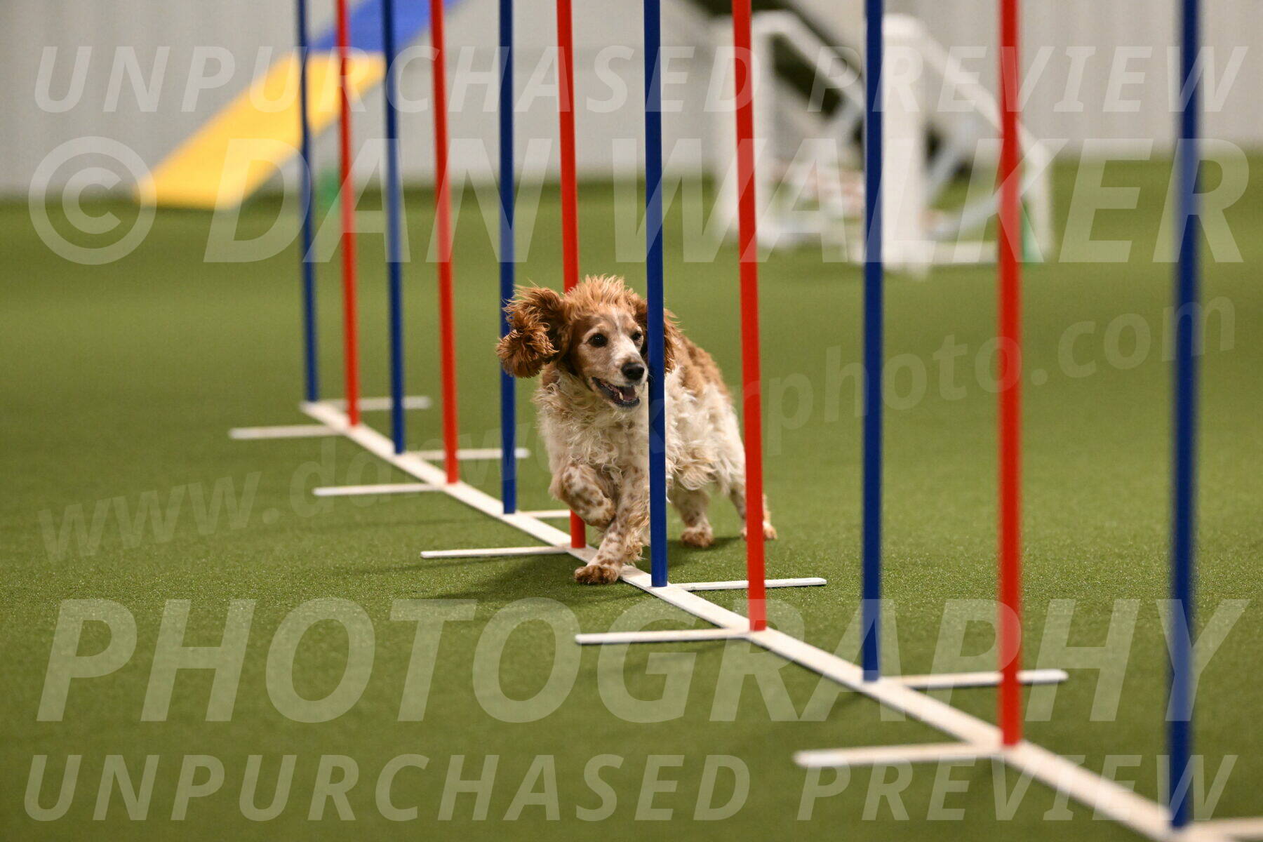 Izzy-Kathy-Barickman-09033