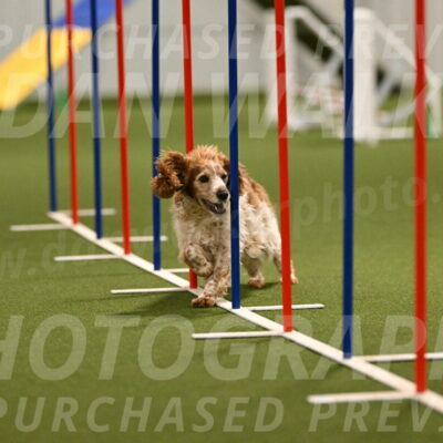 Izzy-Kathy-Barickman-09033