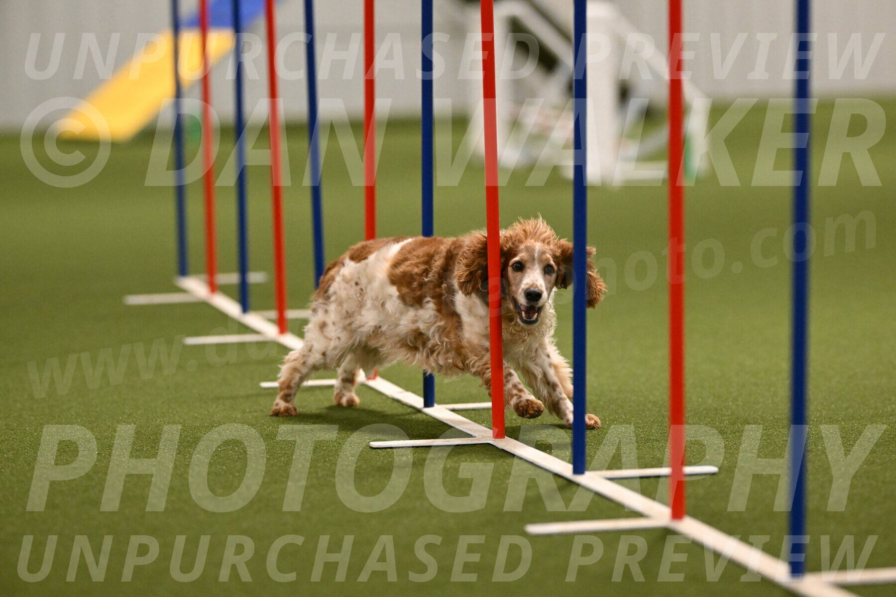 Izzy-Kathy-Barickman-09035
