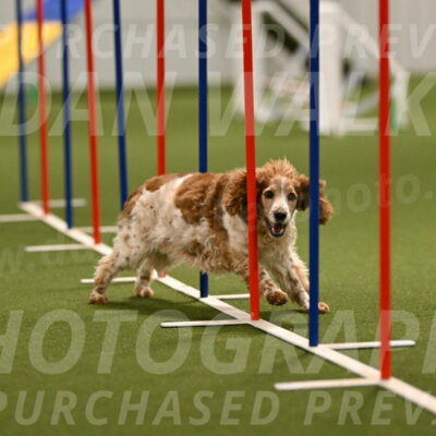 Izzy-Kathy-Barickman-09035
