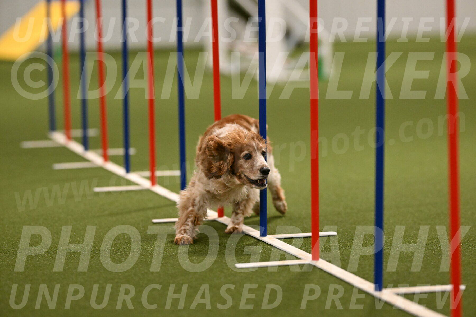 Izzy-Kathy-Barickman-09036