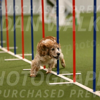 Izzy-Kathy-Barickman-09036