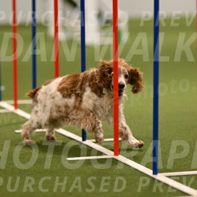 Izzy-Kathy-Barickman-09037
