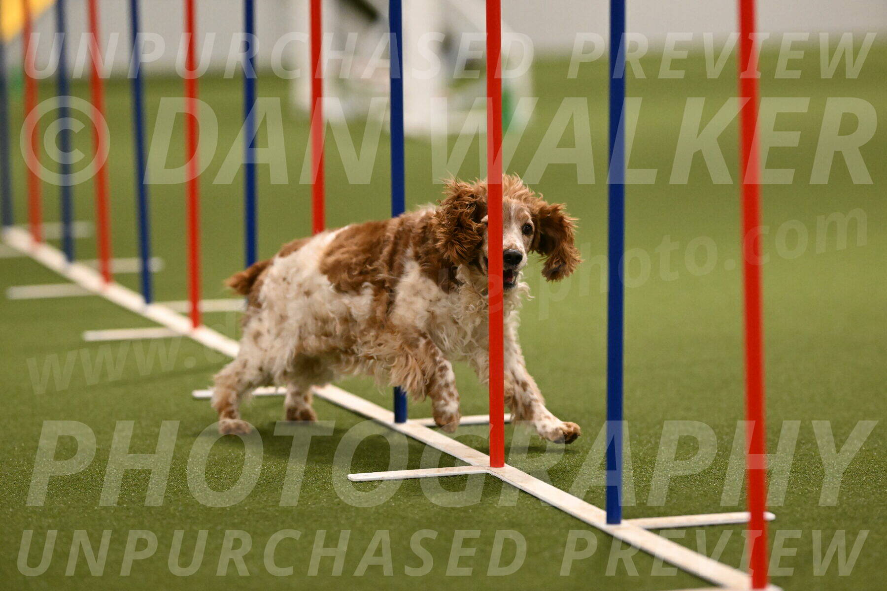 Izzy-Kathy-Barickman-09037
