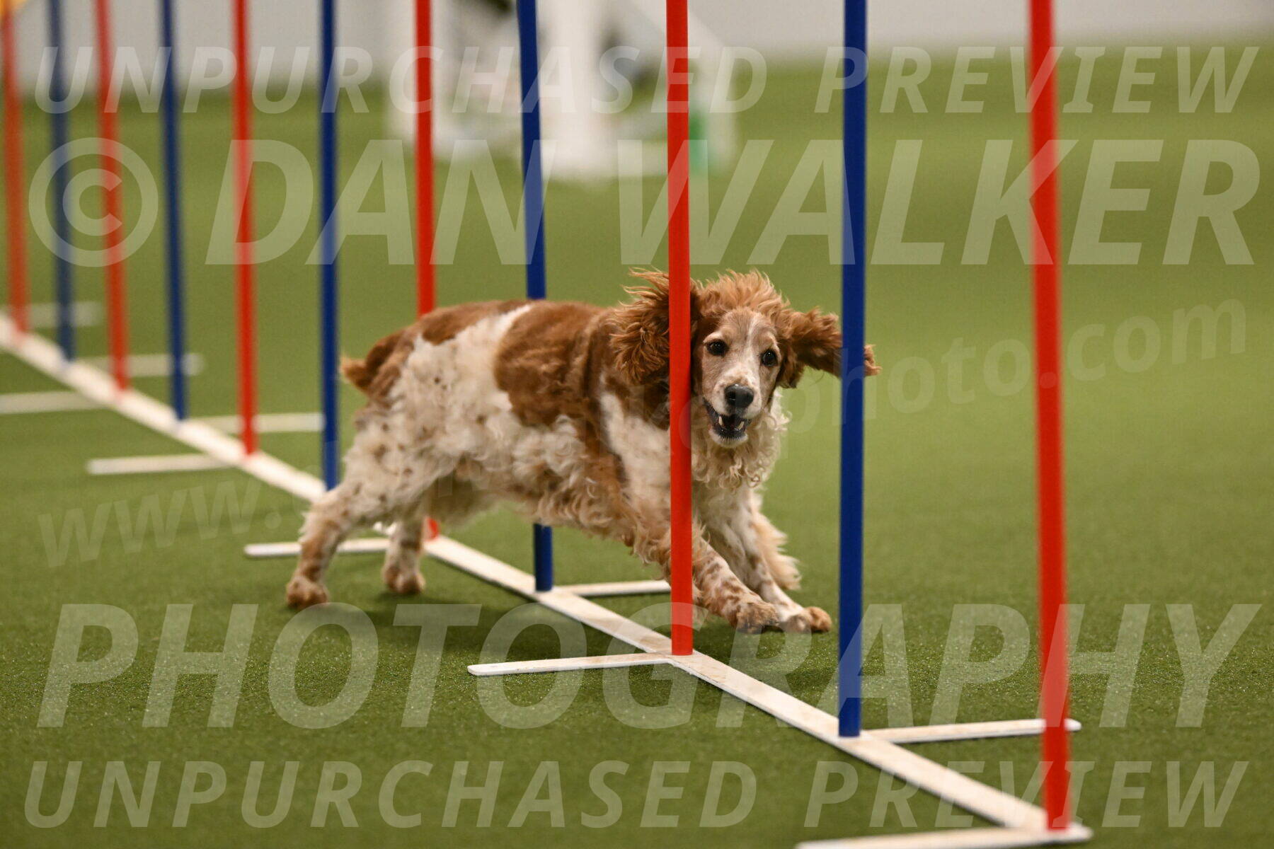Izzy-Kathy-Barickman-09038