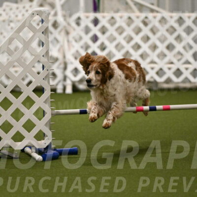 Izzy-Kathy-Barickman-09041