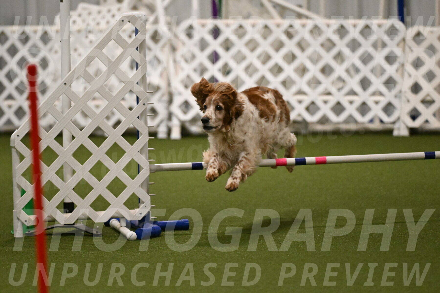 Izzy-Kathy-Barickman-09041