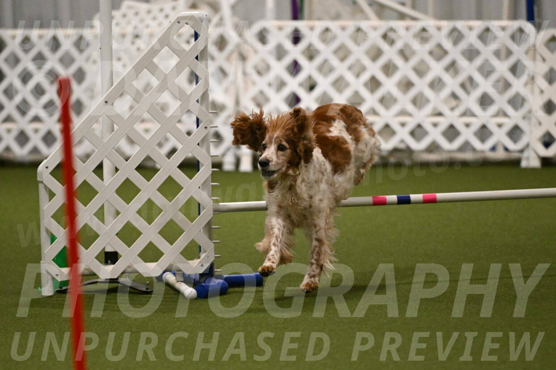 Izzy-Kathy-Barickman-09042