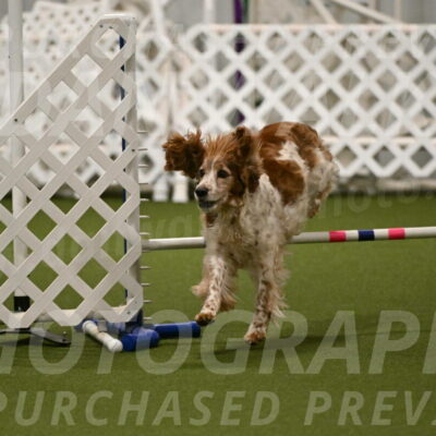 Izzy-Kathy-Barickman-09042