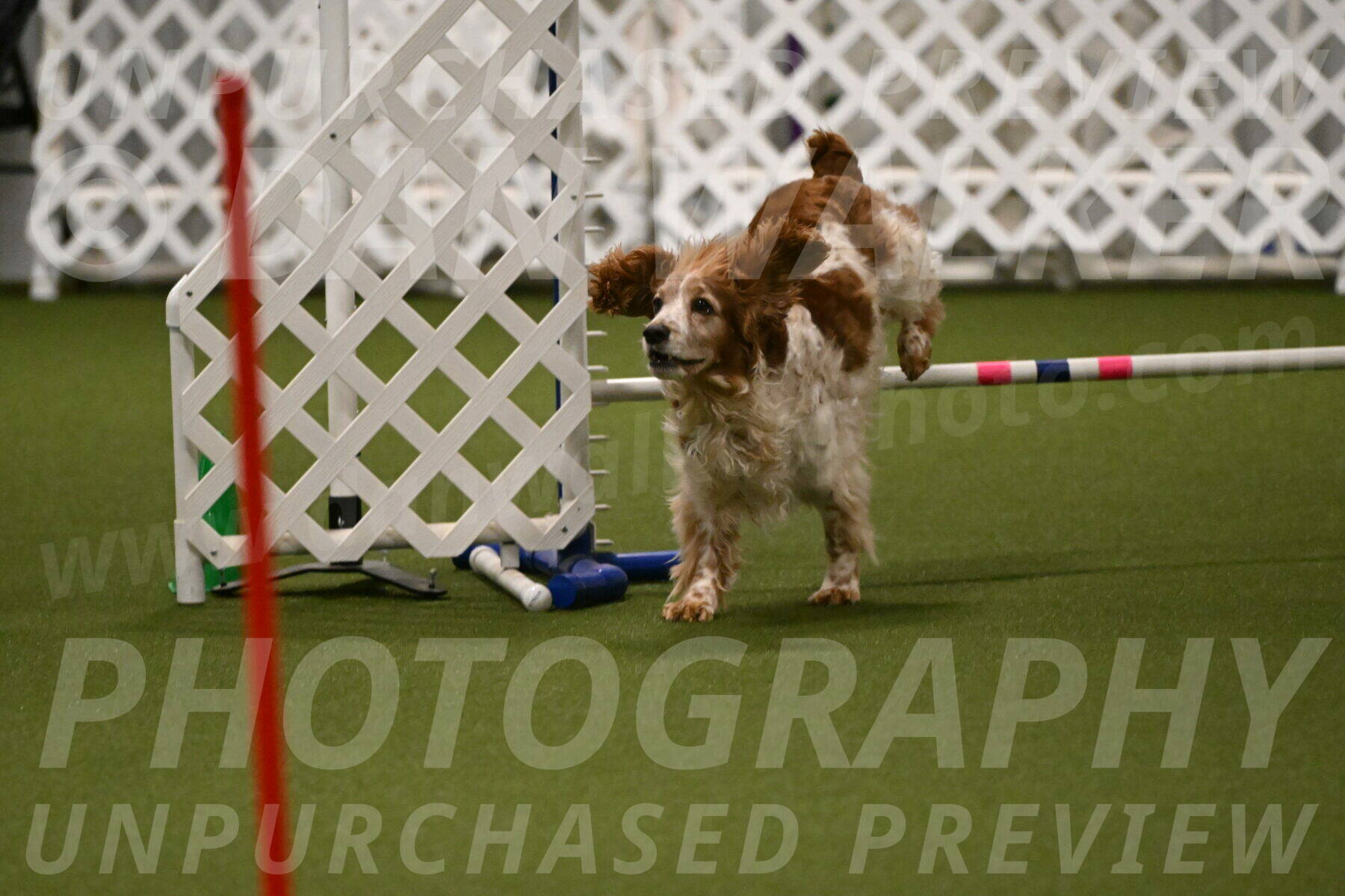 Izzy-Kathy-Barickman-09043