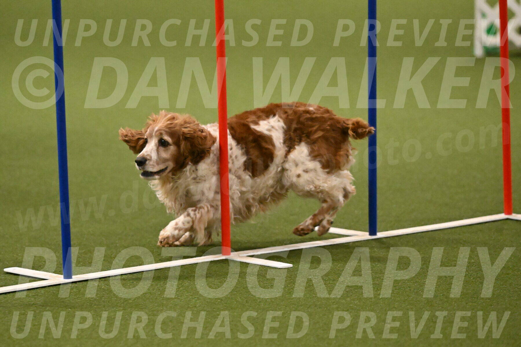 Izzy-Kathy-Barickman-09044