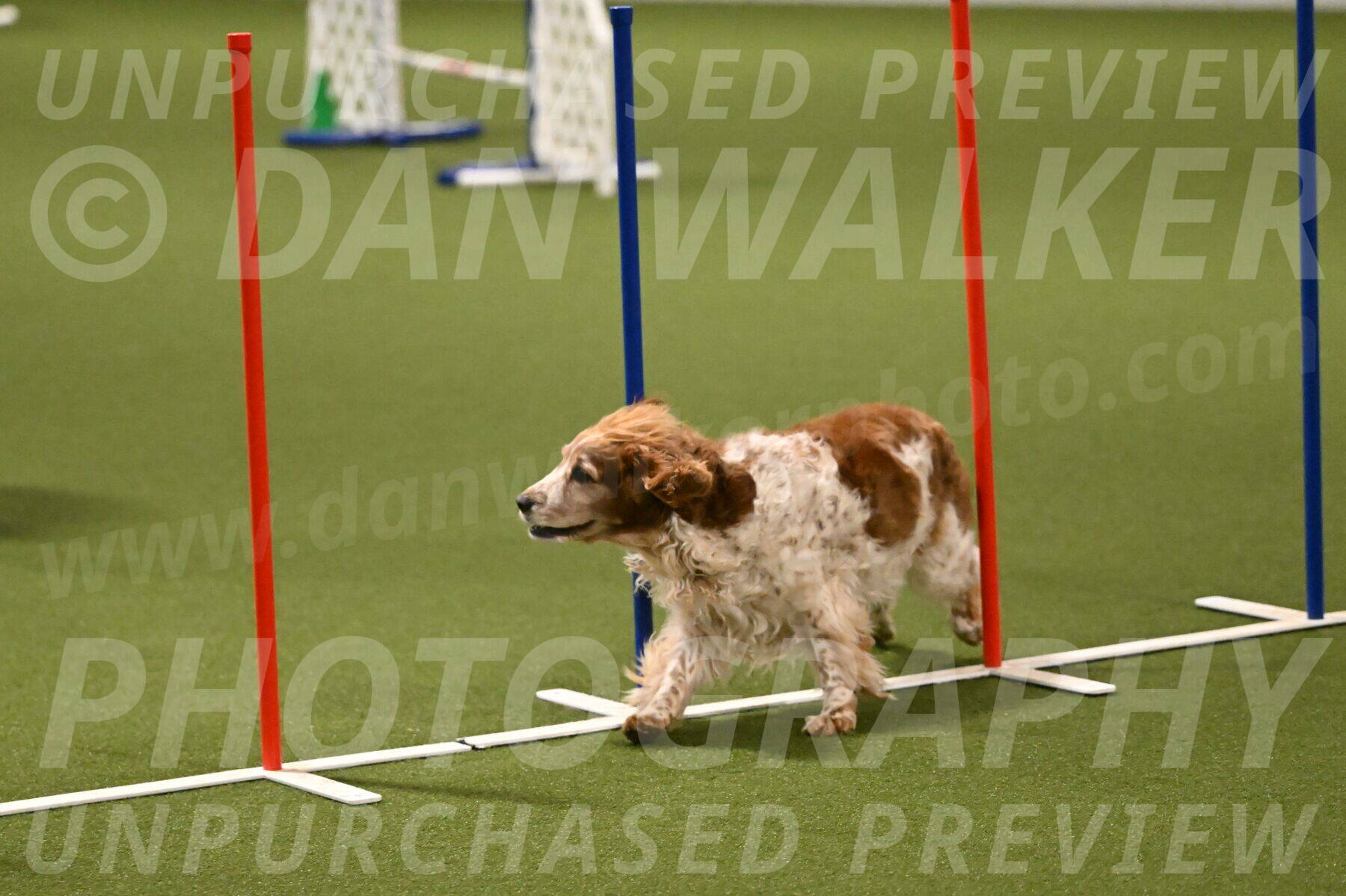 Izzy-Kathy-Barickman-09045