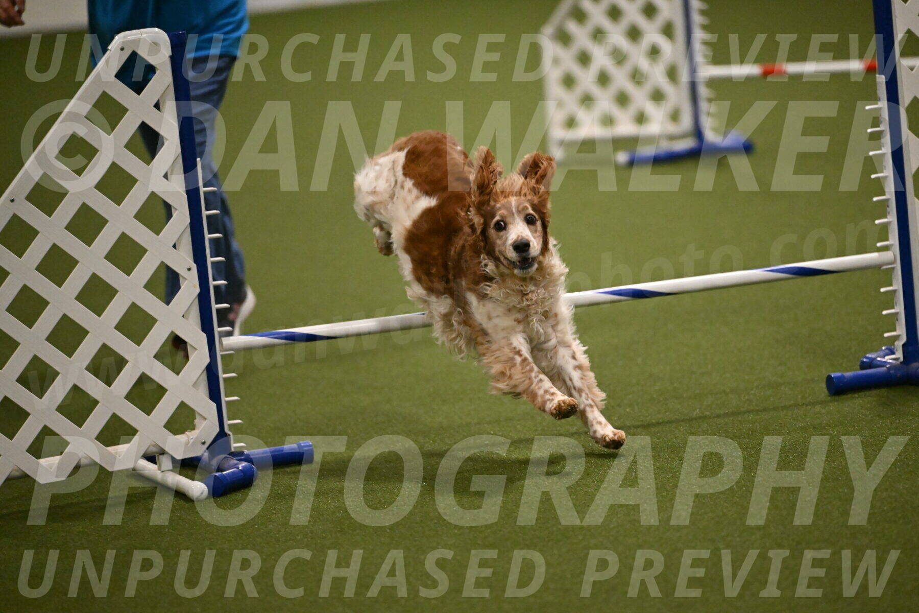 Izzy-Kathy-Barickman-09059