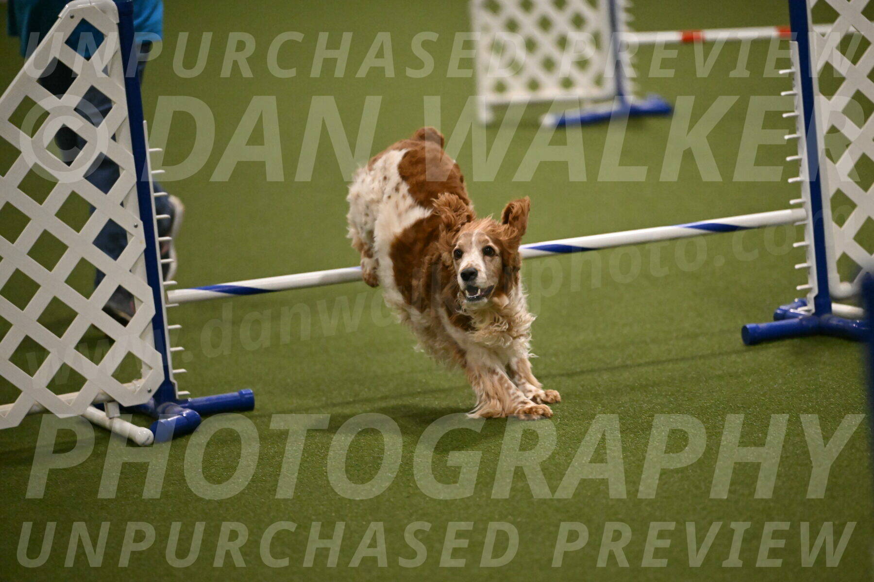 Izzy-Kathy-Barickman-09060