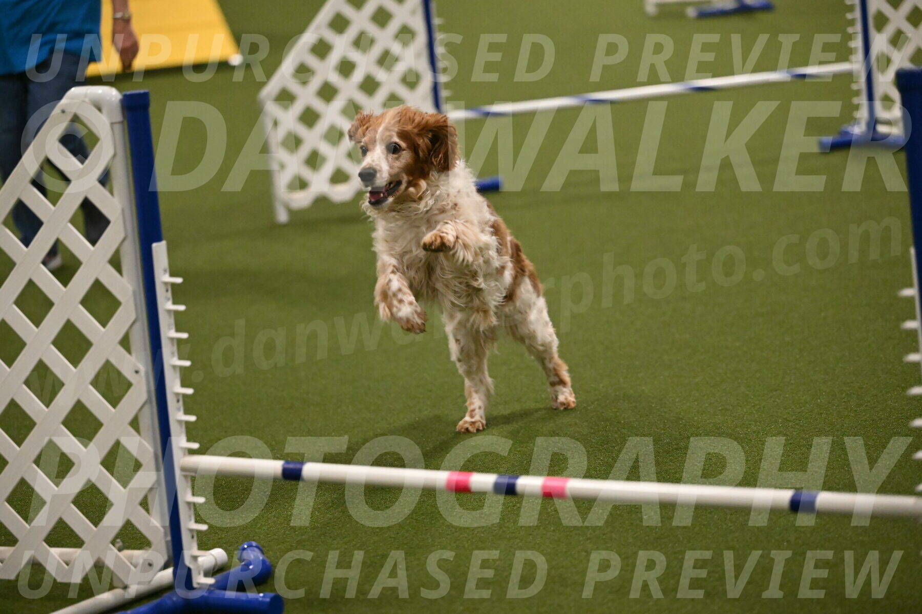 Izzy-Kathy-Barickman-09061