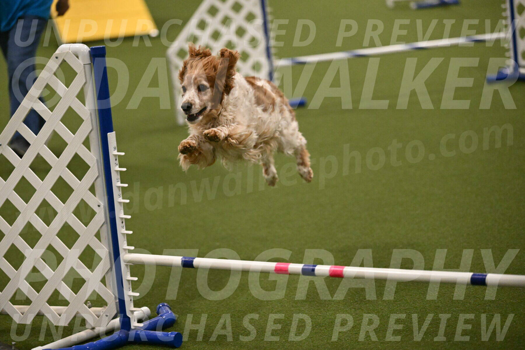 Izzy-Kathy-Barickman-09063
